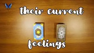 ❤️‍🔥❤️‍🩹 *NO CONTACT* WHAT ARE THEIR CURRENT FEELINGS? ❤️‍🔥❤️‍🩹😍🥰 Timeless Tarot Reading 🔮💫