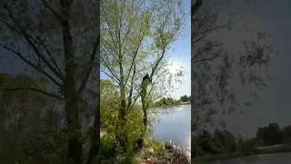 КОГДА РЫБАЛКА УДАЛАСЬ😅 #шортс