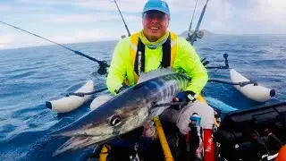 36 pound Wahoo (Ono)
