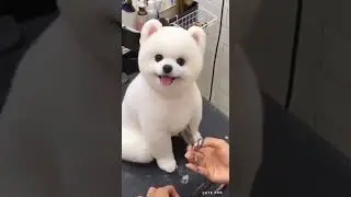 Cute