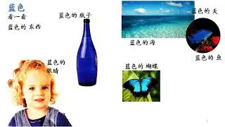 Look and Learn Color