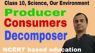 Producer, Consumer and Decomposer.