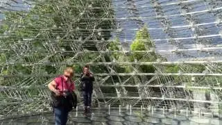 The Hive