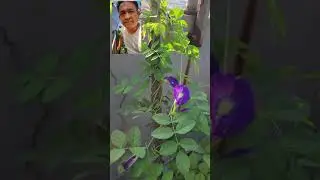 KEGIATAN PAGI SEBELUM KERJA