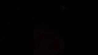 Добываем с дядей дрова.