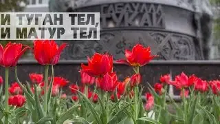 И туган тел, и матур тел...