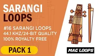 MAG Loops - Sarangi Loops Vol 1 - Royalty Free Loops & Samples