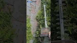 Parkside Cordless Hedge Trimmer PHSA 20-Li A1 - Lidl 