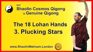 #Qigong #ChiKung - 18 Lohan Hands #03 Plucking Stars - Shaolin Wahnam #London #Classes