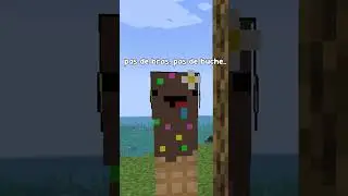 Possible de Finir Minecraft sans Bras ?..