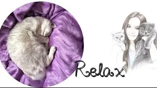 💜RELAX💜ВЫХОДНЫЕ КОТЕНКА💜