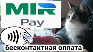 Подключаем бесконтактную оплату MIR PAY