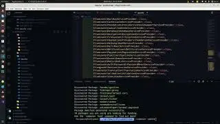 How to setup paystack laravel enviroment