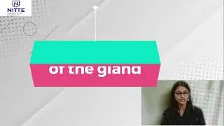 Lecture video on mammary gland