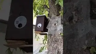 2024 Trap Out Part 5 - screen cone installed