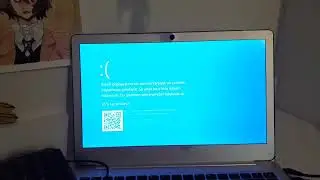 Windows 10 Has BSOD 