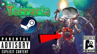 The Unfortunate State of the Terraria Workshop