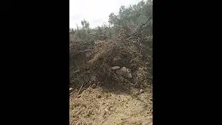 Администрация города Благодарного организовала свалку в черте города.