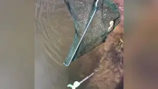 Рыбалка необычным способом