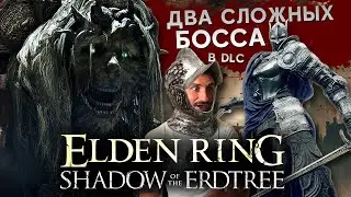 ELDEN RING - DLC : SHADOW OF THE ELDTREE / ДВА СЛОЖНЫХ БОССА ИЗ ДЛС / ПЕТУШУ ДВУХ БОССОВ ТАНКОМ