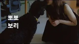 뽀뽀 보리 - Bori chuu33