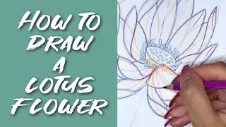 Episode 10: How to draw a LOTUS flower