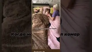 7 августа 2024 г.
