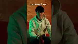 почему кошки всегда это делают?