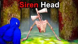 We Survived Siren Head in Gorilla Tag