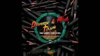 Deeperise & Mr.Nu feat. Tolgah - True Tonight (The Distance & Riddick Remix)