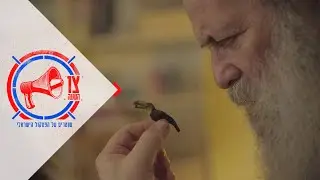 שולי רנד - שיר על התוכי יוסי