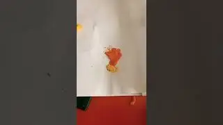 бразильская империя