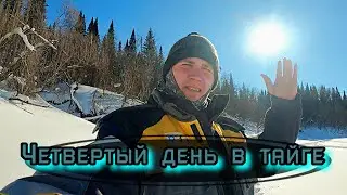 ЧЕТВЁРТЫЙ ДЕНЬ В ТАЙГЕ. ЧТО ЗА СОБАКИ? ИЗБА ПОД ЖЕЛЕЗОМ.