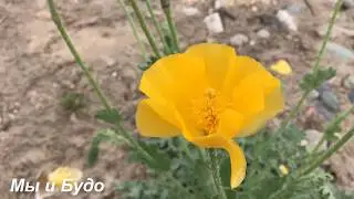 ЛФК на природе 3