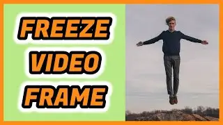 How to FREEZE A FRAME with FlexClip | STOP VIDEO | Easy | Video edition | Simple | Fast