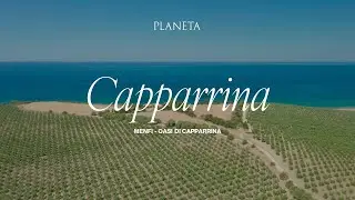 PLANETA: Territori - Capparrina (Menfi)