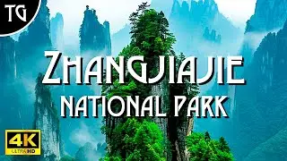 Explore The Spectacular Avatar Mountains In Zhangjiajie National Park! China