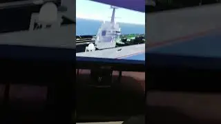 жиза