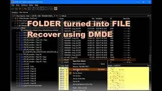 Folder turns into File - How to recover the data - DMDE