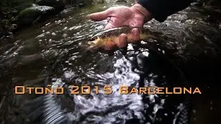 Pesca a Mosca en Barcelona