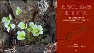Красная Книга Чукотского АО