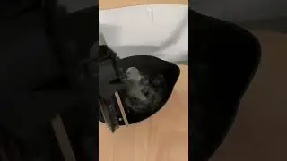 Как сварить яйца в электрочайнике. Супер рецепт