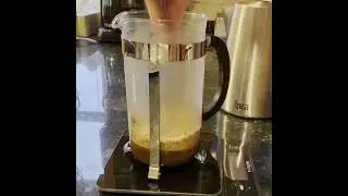 French Press Coffee Bloom