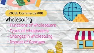 Wholesaling | iGCSE Commerce #16