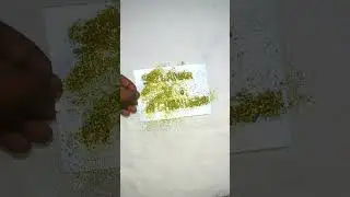 Srilanka v Afghanistan||Afghanistan Srilanka takra||