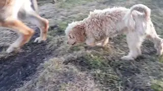 Маруся - метеор)))