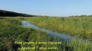 Рано утром к речке Орлинке у Дружной Горки, июль...