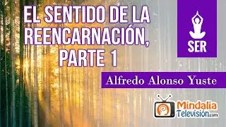 The Meaning of Reincarnation, by Alfredo Alonso Yuste PART 1