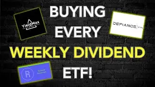 I Invested $800 in Weekly Dividend ETFs So You Don't Have To