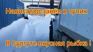 Заблудился в Сургуте  Навигатор завёл в тупик   Дорога домой